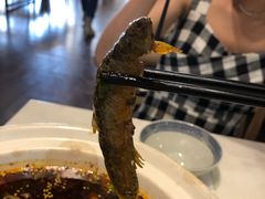 -情妹妹干锅锅(中海国际购物公园店)