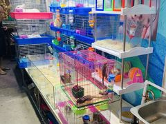 -万商花鸟市场