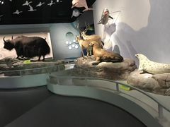 -中国湿地博物馆
