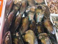 -南沙十九涌渔人码头-南门