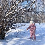 冬天来东北玩雪