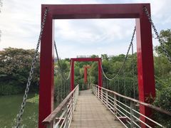 -天鹅湖体育公园