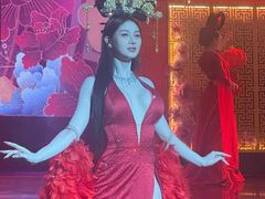 -金东尼人妖秀