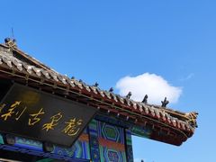 -百脉泉景区
