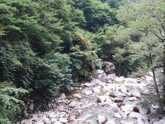 -青峰峡国家森林公园