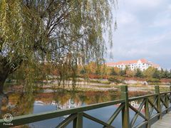 -中国海洋大学（崂山校区）-图书馆