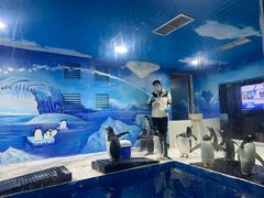 -重庆欢乐海底世界