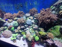 -珠海长隆海洋王国