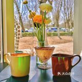 春日咖啡店COTD｜三杯咖啡·豆子都选花魁过粪么？