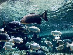 -成都浩海立方海洋公园