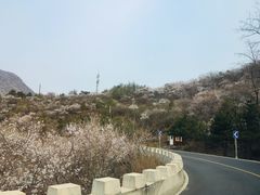 -妙峰山风景名胜区