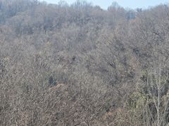 -南京市江宁方山
