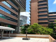 -香港大学