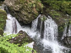 -龙苍沟森林公园