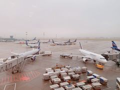-谢列梅捷沃国际机场