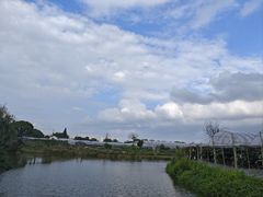 -马陆小张葡萄园农家乐