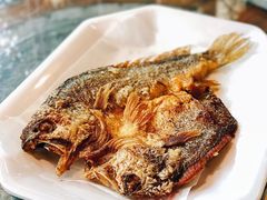 -绿雅居原生态农庄(小涌店)