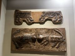 -安塔利亚博物馆