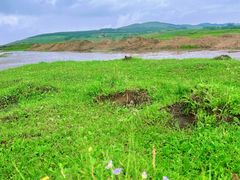 -塞罕坝国家级自然保护区