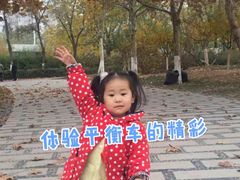 -稚马儿童平衡车自行车俱乐部