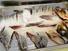 水库胖头鱼-姥家大锅台水库渔家