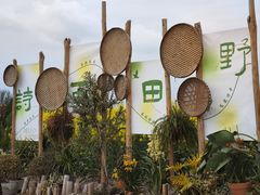 -中国天府农业博览园