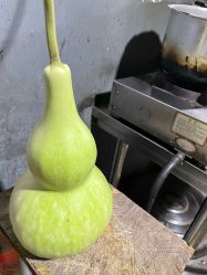 -Zoolung Zoolung动物主题公园(海信广场店)