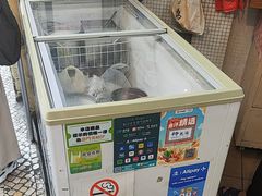 -洪馨椰子