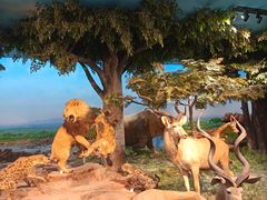 -国家自然博物馆