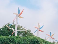 -厦门园林博览苑