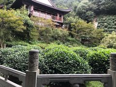 -十八棵（老龙井）御茶园(老龙井店)