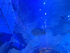 -华夏文旅西安度假区