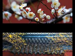 -钱王祠