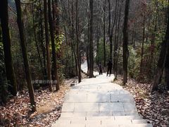 -云碧峰国家森林公园