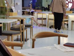 大堂-喵园·猫主题咖啡厅·撸猫·猫咖(国贸店)