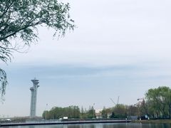 -香妃烤鸡(新奥店)