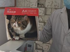 -荣耀金沙动物医院(清江西路店)