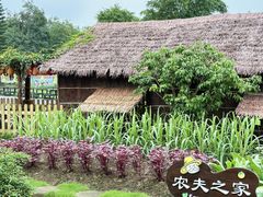 -盈香心动乐园