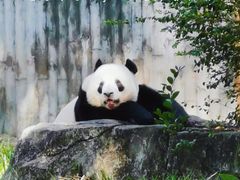 -广州动物园