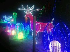 -长春公园(普阳街道)