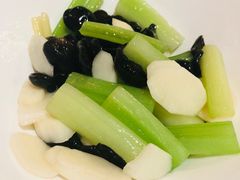 -琥珀·原创臻选店(维家思店)