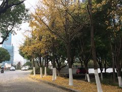 -白马涧龙池景区