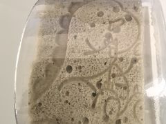 -辽宁古生物博物馆