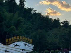 -西双版纳原始森林公园