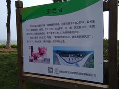 -合肥滨湖国家森林公园