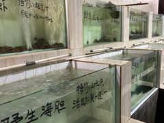 -海盗餐厅