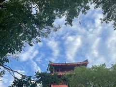 -天龙宝严素食馆(大兴善寺店)