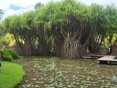 -中国科学院西双版纳热带植物园