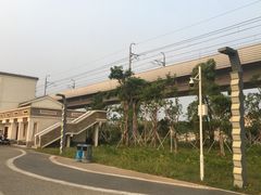 -宝安西湾红树林湿地公园