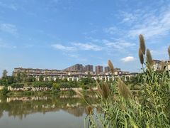 -枫香湖儿童公园